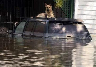 REUTERS/Lee Celano 